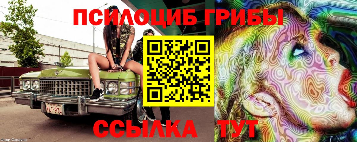 Галлюциногенные грибы мицелий Саранск
