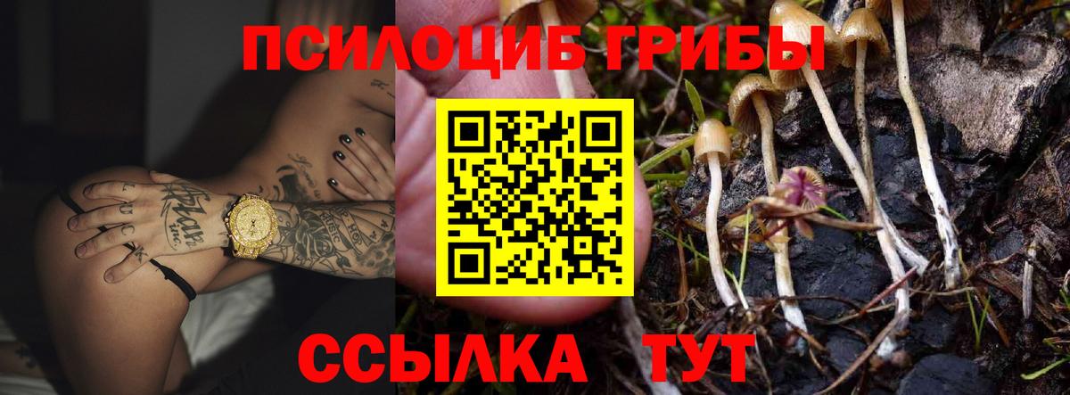 Саранск  Галлюциногенные грибы мицелий  Вход с VPN 